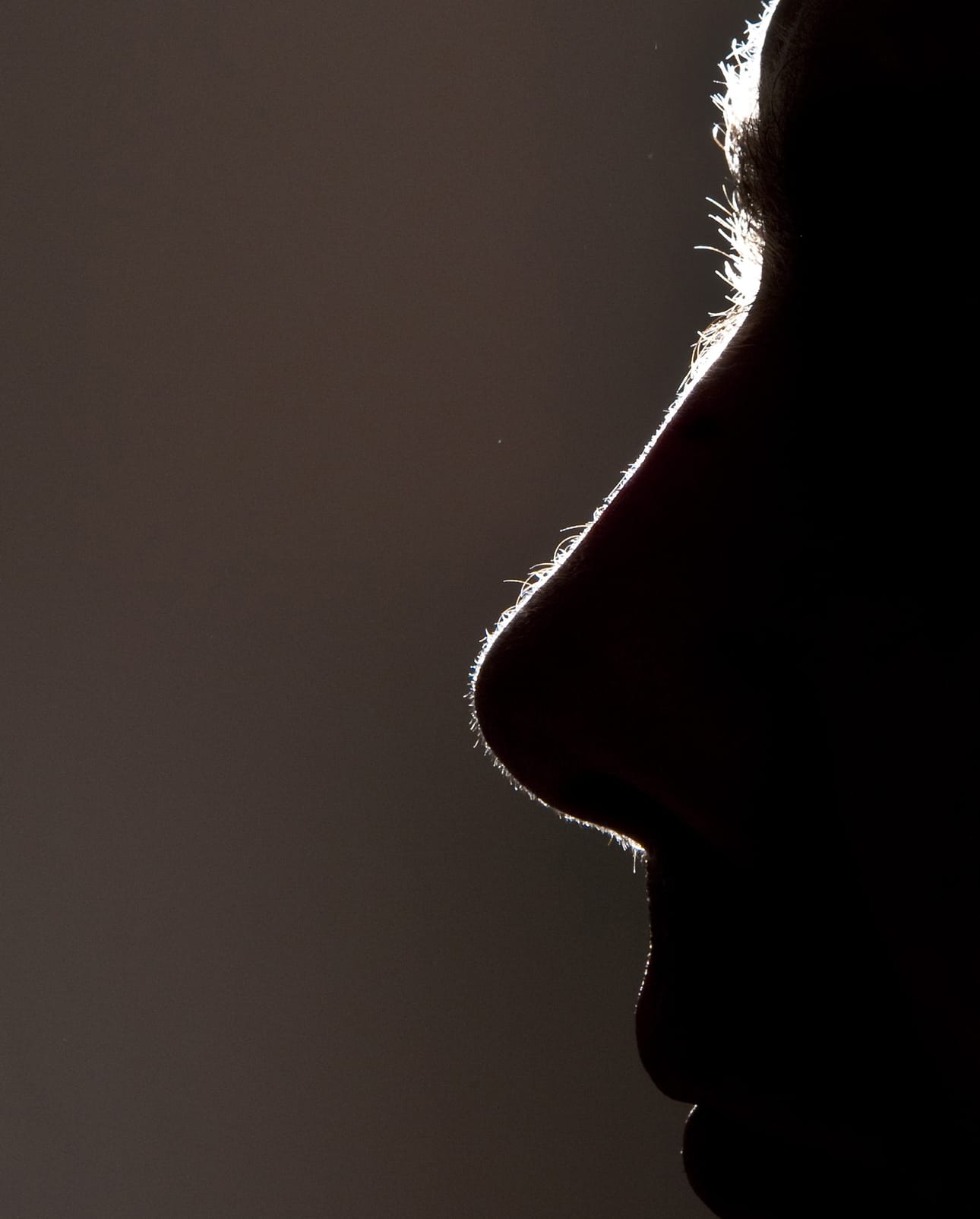 Hajuilla on tärkeä rooli myös muistin kannalta. Jos ihminen ei haista, hän ei osaa yhdistää hajua vaaratilanteeseen kuten tulipaloon.