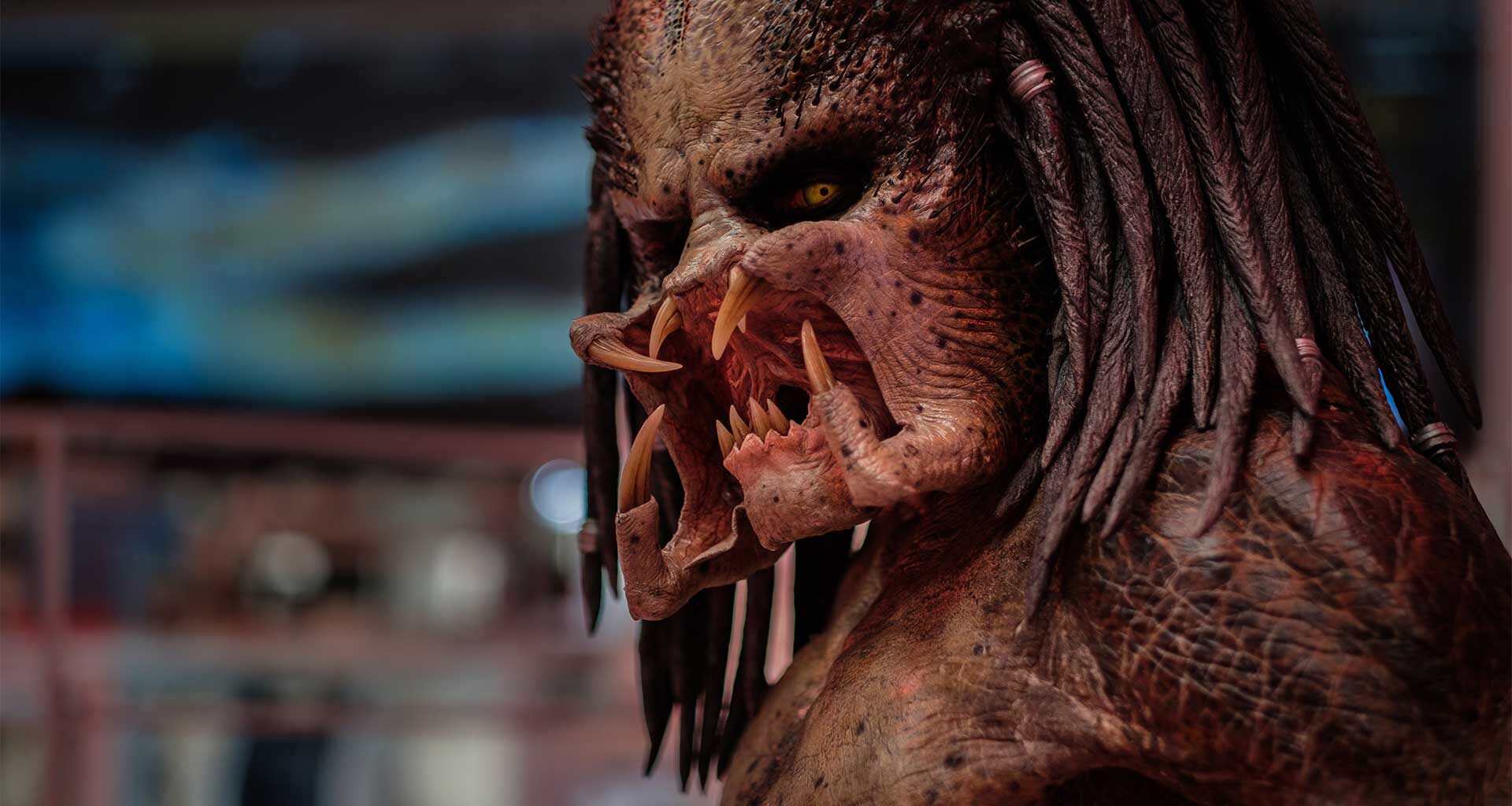 Gallup | Mikä on paras Predator-elokuva ennen Predator: Badlandsin ensi-iltaa?