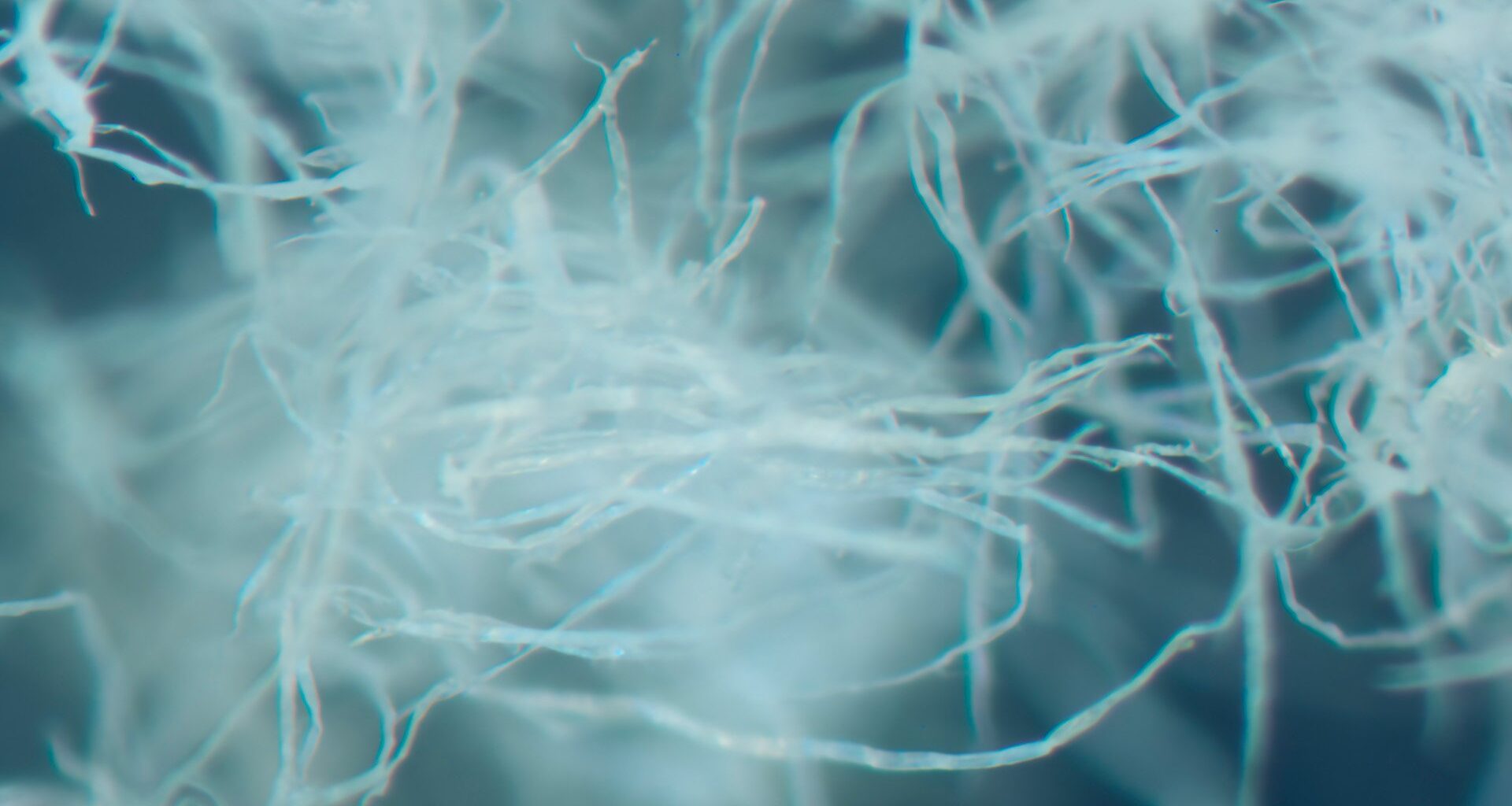 Vesiriskien hallinta | A material solutions company