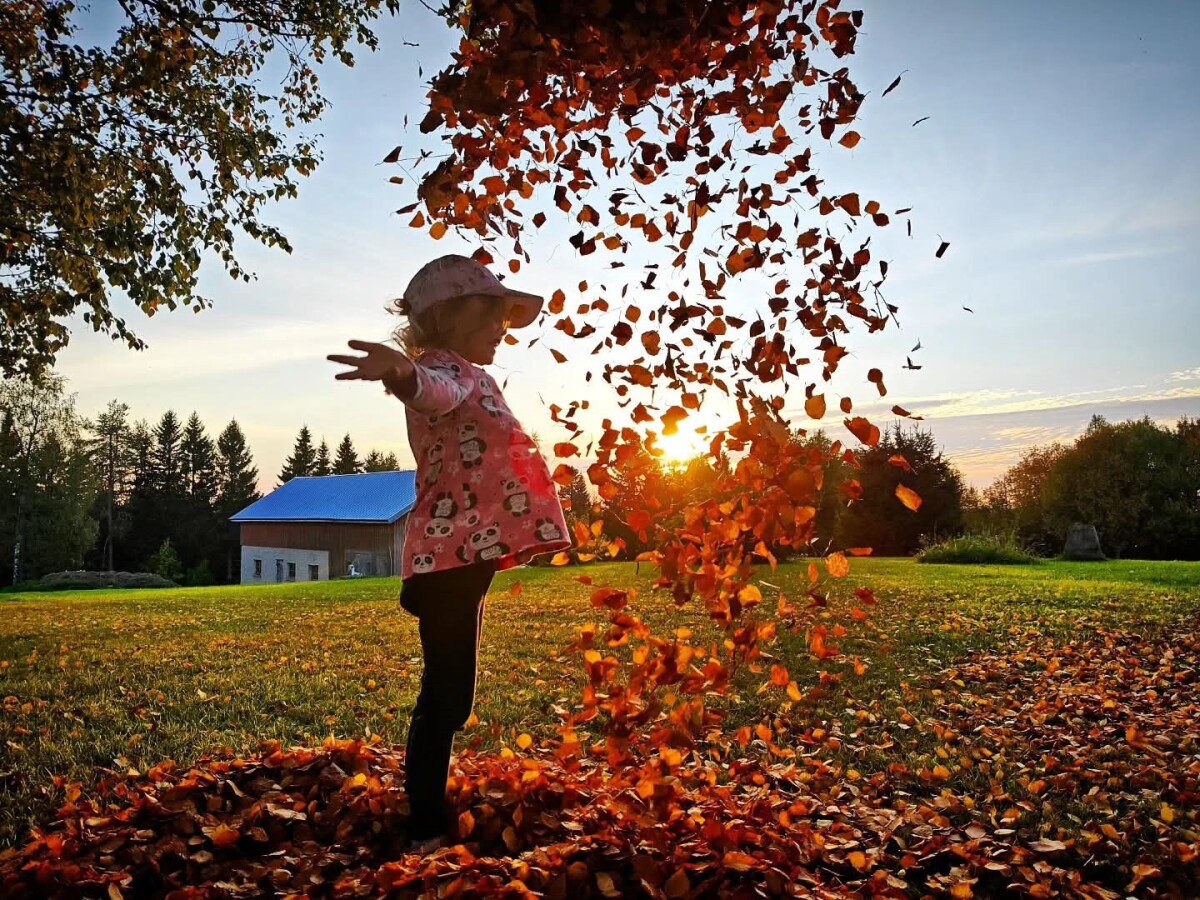 Valokuvakilpailun parhaat on valittu – otoksissa ikuistettiin tapahtumia Suomussalmen kylissä