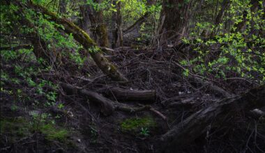 levoton tuhkimo by hanna maria gronlund kulttuuritoimitus INSTA