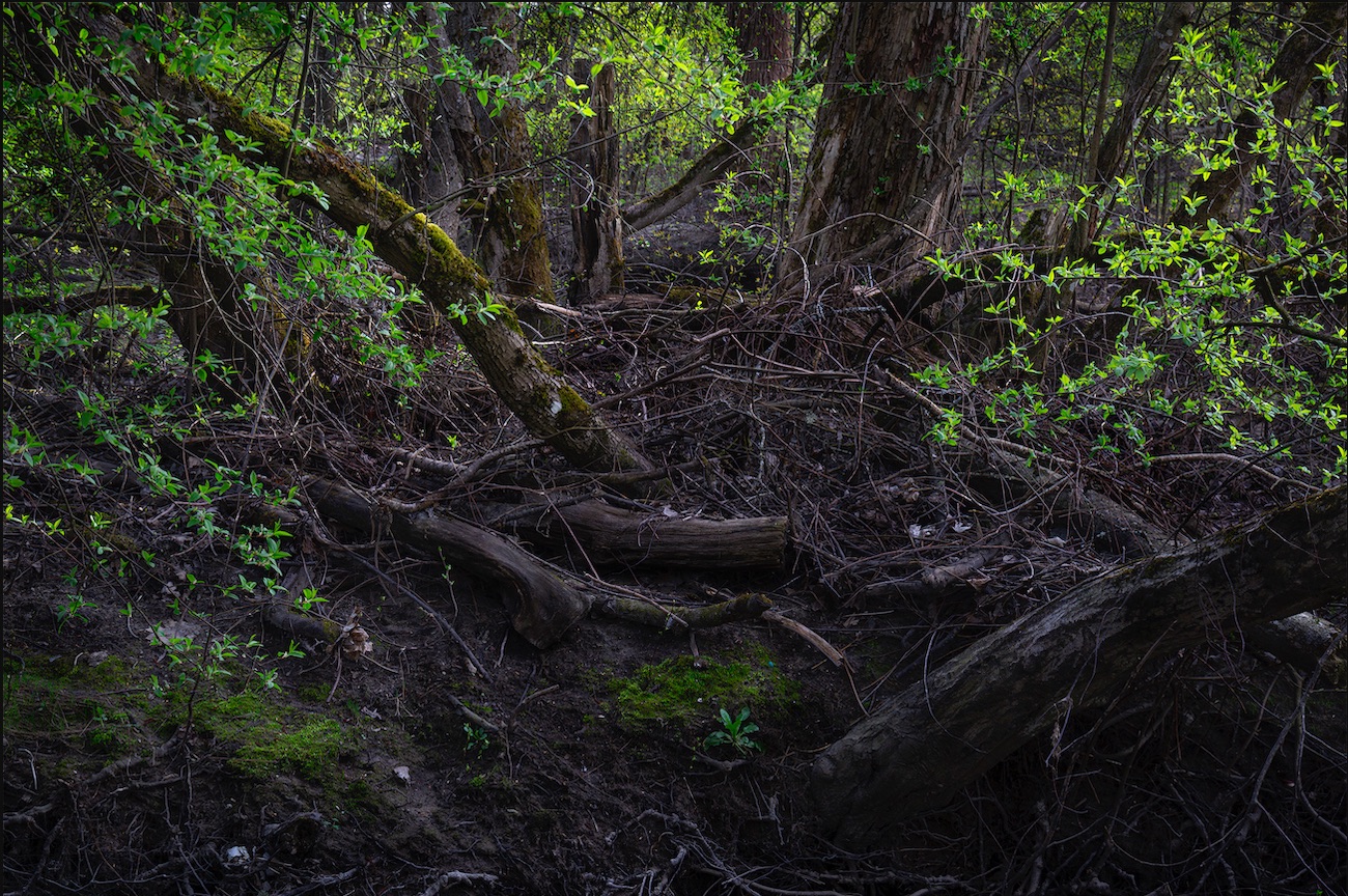 levoton tuhkimo by hanna maria gronlund kulttuuritoimitus INSTA