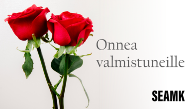 Onnea SEAMKista loka-joulukuussa 2025 valmistuneille!