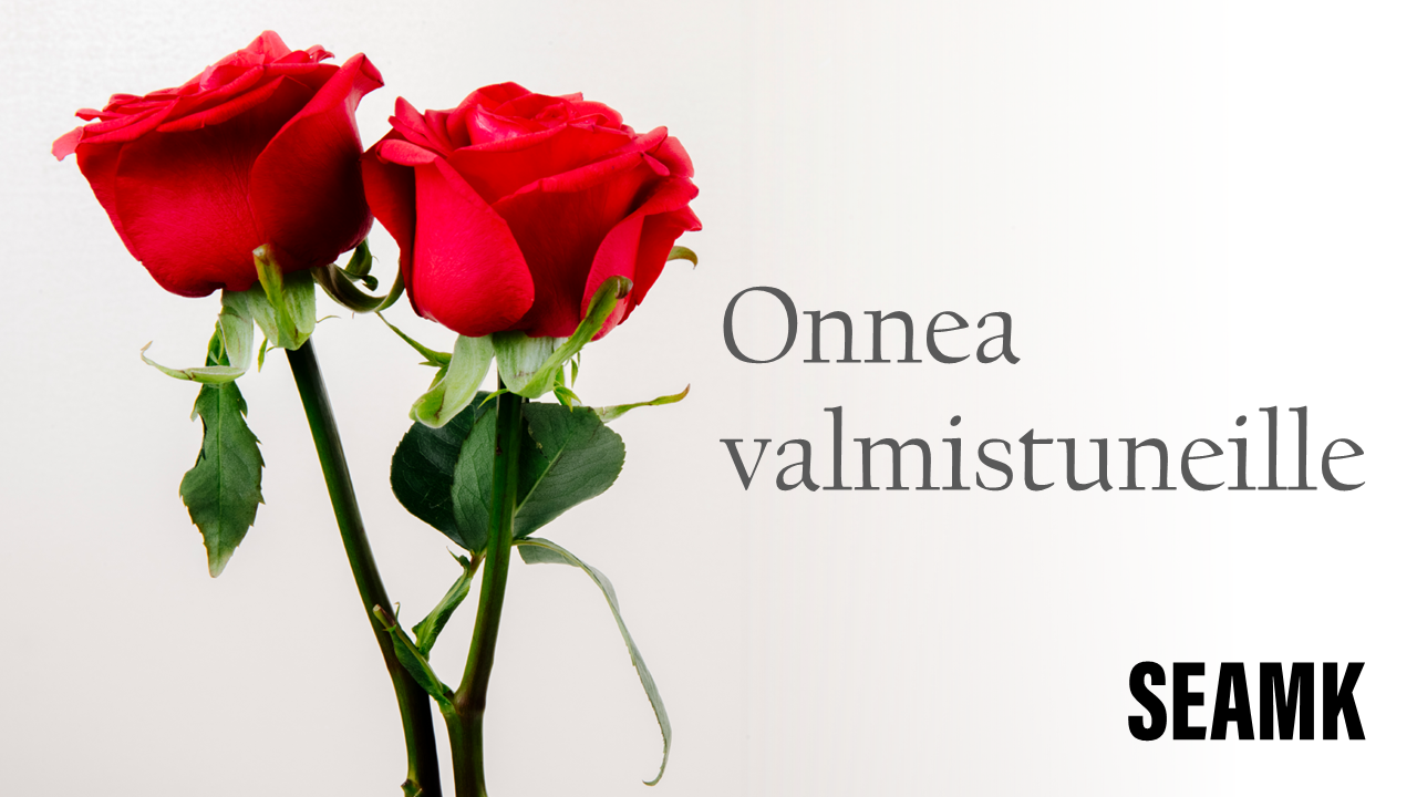 Onnea SEAMKista loka-joulukuussa 2025 valmistuneille!