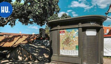 T24 | Järkyttävä tuhoamisvimma piinaa Tallinnassa: "Revitään irti seinistä" | Teemat