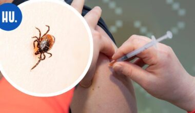 Vaikea puutiaisaivotulehdus yleistyy Uudellamaalla ­– erityisesti Helsingissä | Paikalliset