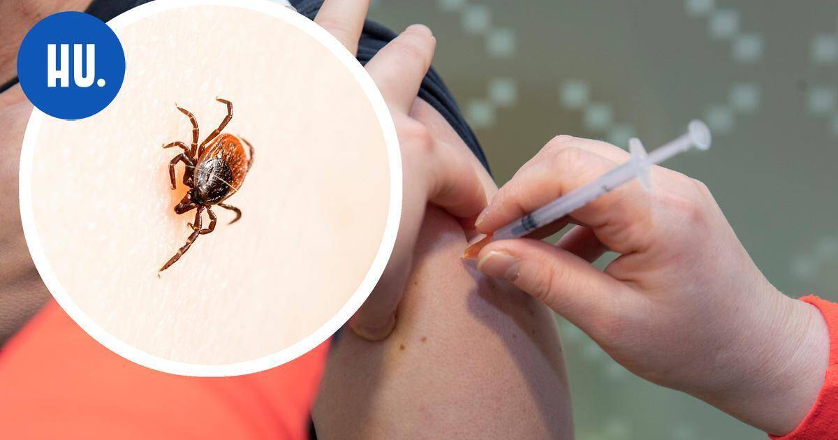 Vaikea puutiaisaivotulehdus yleistyy Uudellamaalla ­– erityisesti Helsingissä | Paikalliset