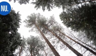 Ympäristö | Nurmijärven nuoret näyttivät mallia ilmastoteoissa – valot sammuvat ja pyörät pyörivät | Paikalliset