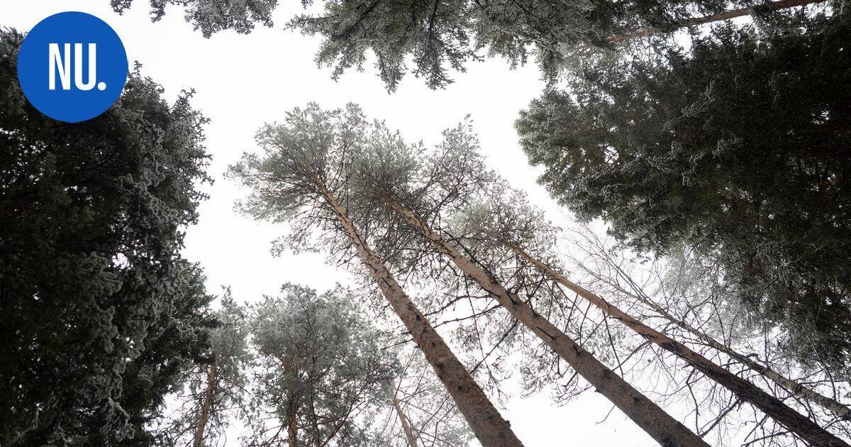 Ympäristö | Nurmijärven nuoret näyttivät mallia ilmastoteoissa – valot sammuvat ja pyörät pyörivät | Paikalliset