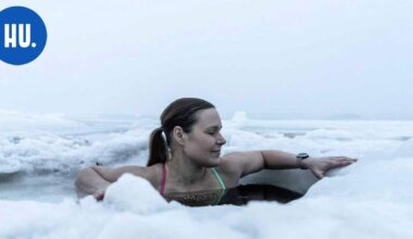 Jätkäsaareen tulee virallinen talviuintipaikka – palkittu arkkitehti suunnittelee saunan | Paikalliset