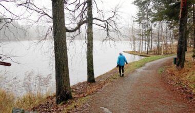 Kuopiossa sijaitsevan Leväsenlammen tilanne huolestuttaa luonnossa liikkujaa | Paikalliset