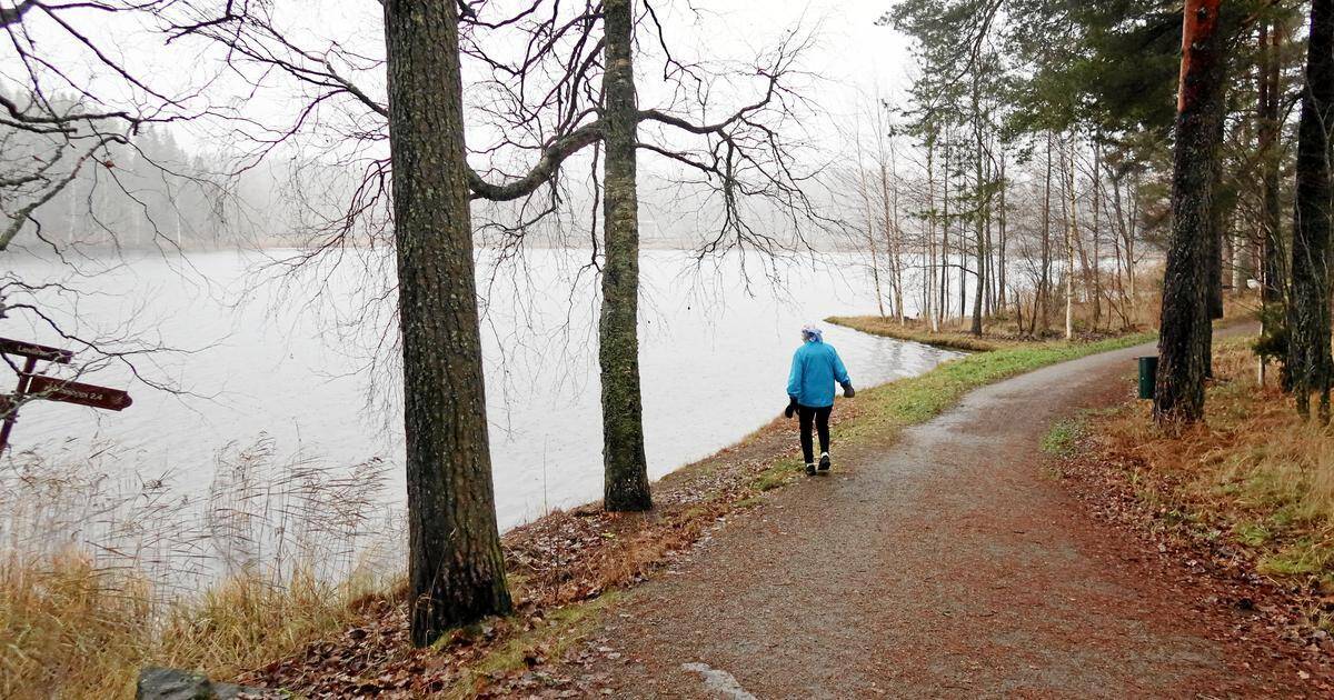 Kuopiossa sijaitsevan Leväsenlammen tilanne huolestuttaa luonnossa liikkujaa | Paikalliset