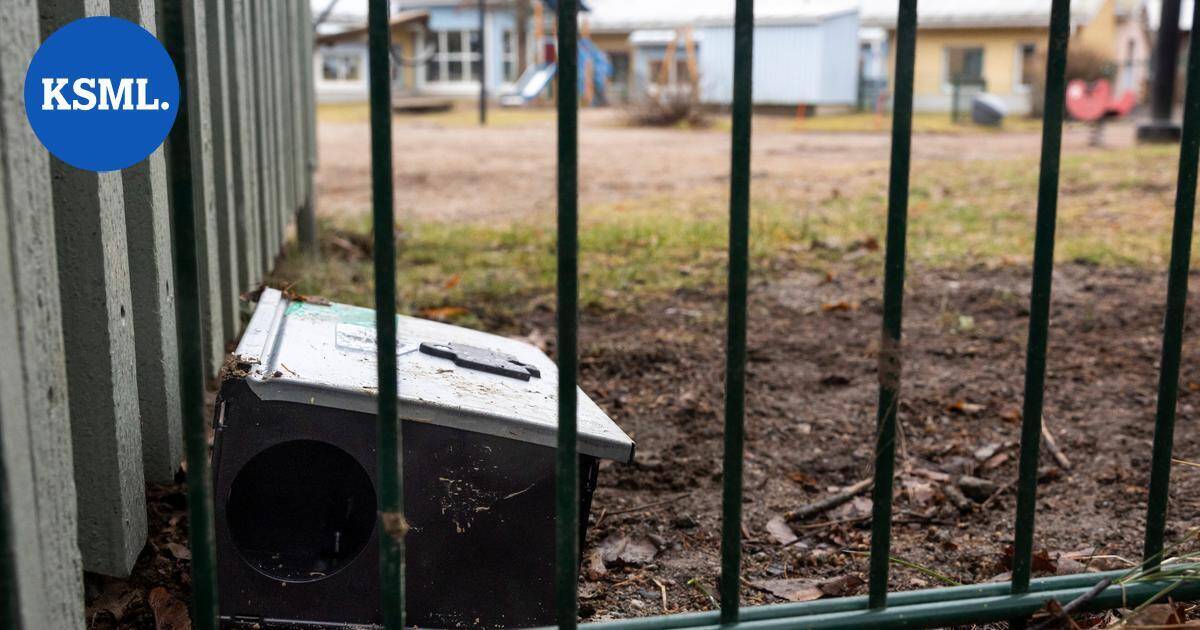 Rottahavainnot ovat Jyväskylässä huippulukemissa – torjuntoja tehdään parhaillaan kolmessa päiväkodissa | Keski-Suomi