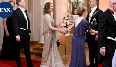 Itsenäisyyspäivä muistuttaa, mistä suomalaiset taistelivat, sanoo Presidentinlinnan harvinainen ulkomaalaisvieras | Uutissuomalainen