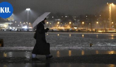 Tähän mennessä kattavin ympäristön tilasta laadittu tieteellinen raportti julkaistiin | Uutissuomalainen