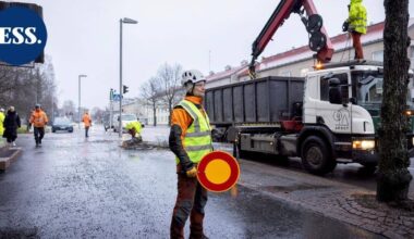 Lahden Karjalankadulta hävitettiin joukko lehmuksia – korvaavista puista ei vielä tietoa | Päijät-Häme