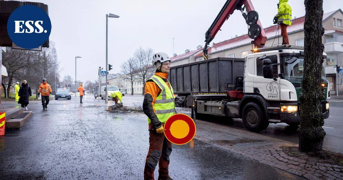 Lahden Karjalankadulta hävitettiin joukko lehmuksia – korvaavista puista ei vielä tietoa | Päijät-Häme