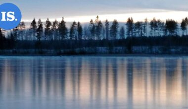 Lukijan luontokuvat | Talvimaisemia Savonlinnan seudulla – Katso kuvat! | Paikalliset