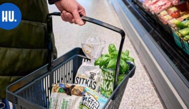 S-ryhmä: Tapaninpäivänä luvassa iso käänne ruokakauppaan | New Articles