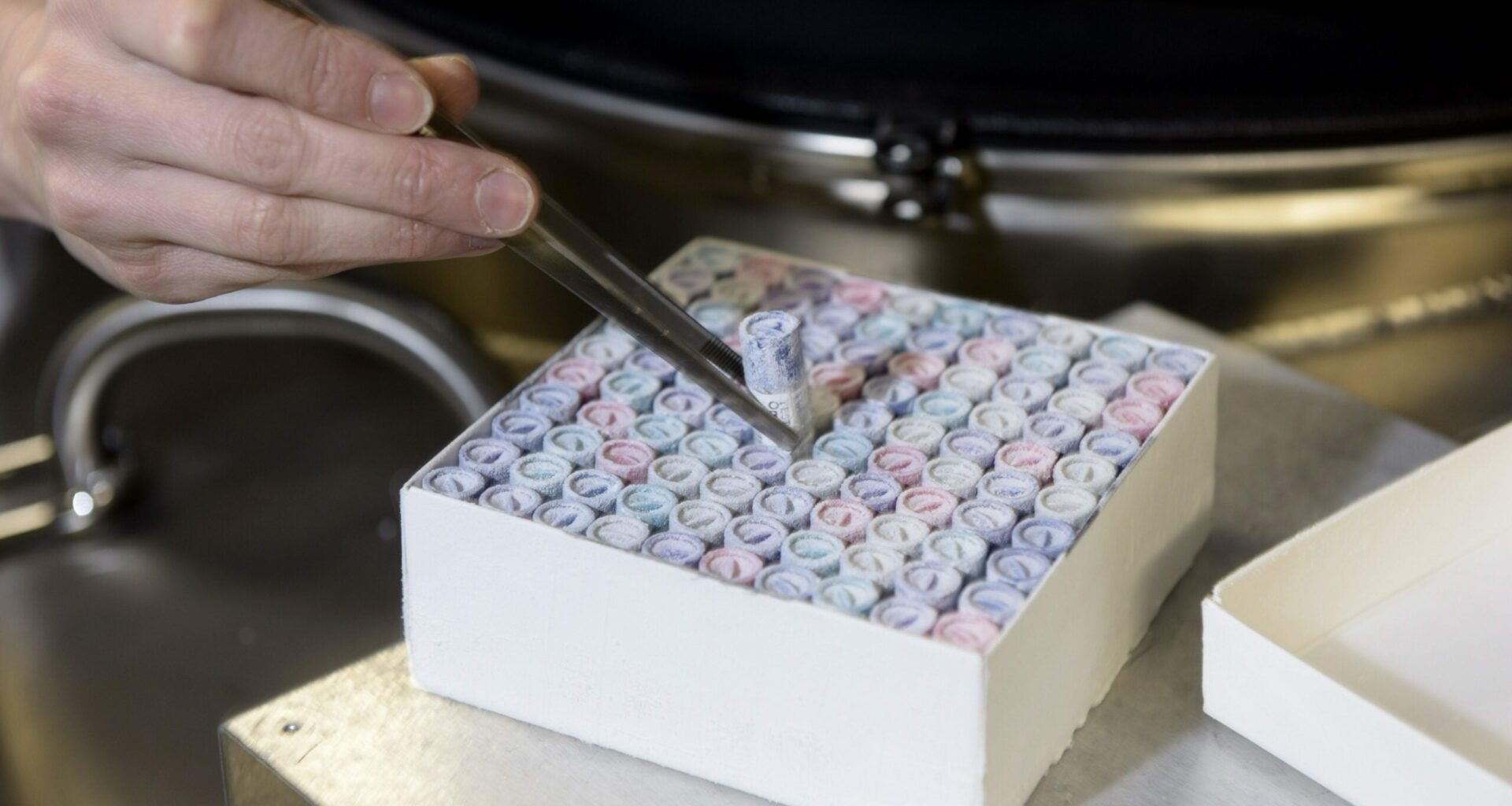 Kaupallisilla dna-testeillä etsitään isiä – "Tästä ei olla riittävän tietoisia"