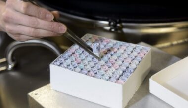 Kaupallisilla dna-testeillä etsitään isiä – "Tästä ei olla riittävän tietoisia"