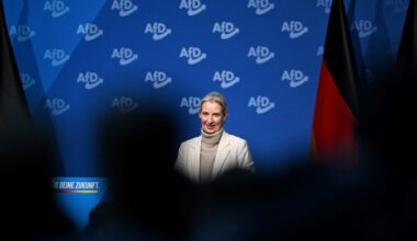 Lipsuuko putinistien ote Saksan AfD-puolueessa?