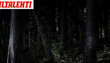 Vaikuttajan ruumis sullottiin matkalaukkuun ja haudattiin metsään