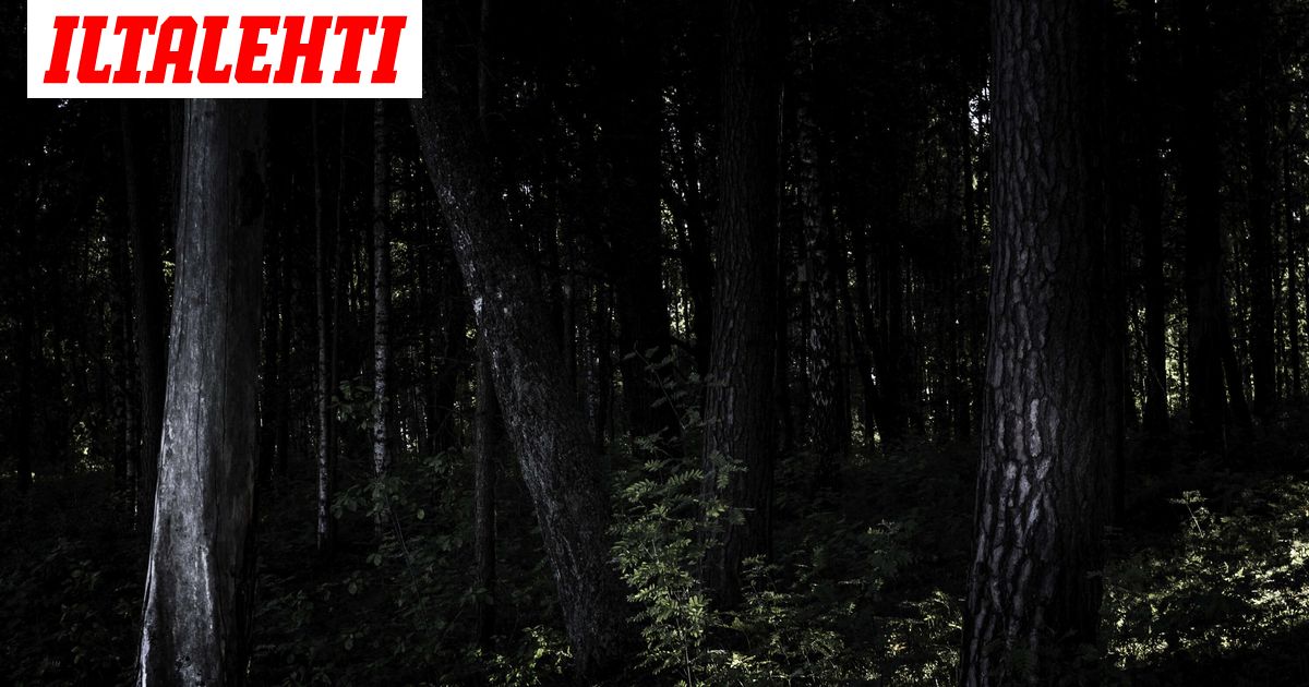 Vaikuttajan ruumis sullottiin matkalaukkuun ja haudattiin metsään