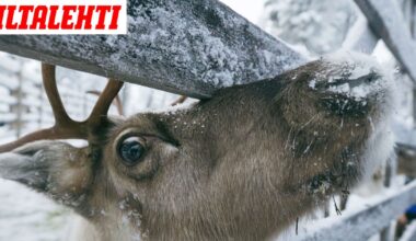 Ennennäkemätön tosi-tv tulee Suomeen joulukuuksi – Päätähdet yllättävät