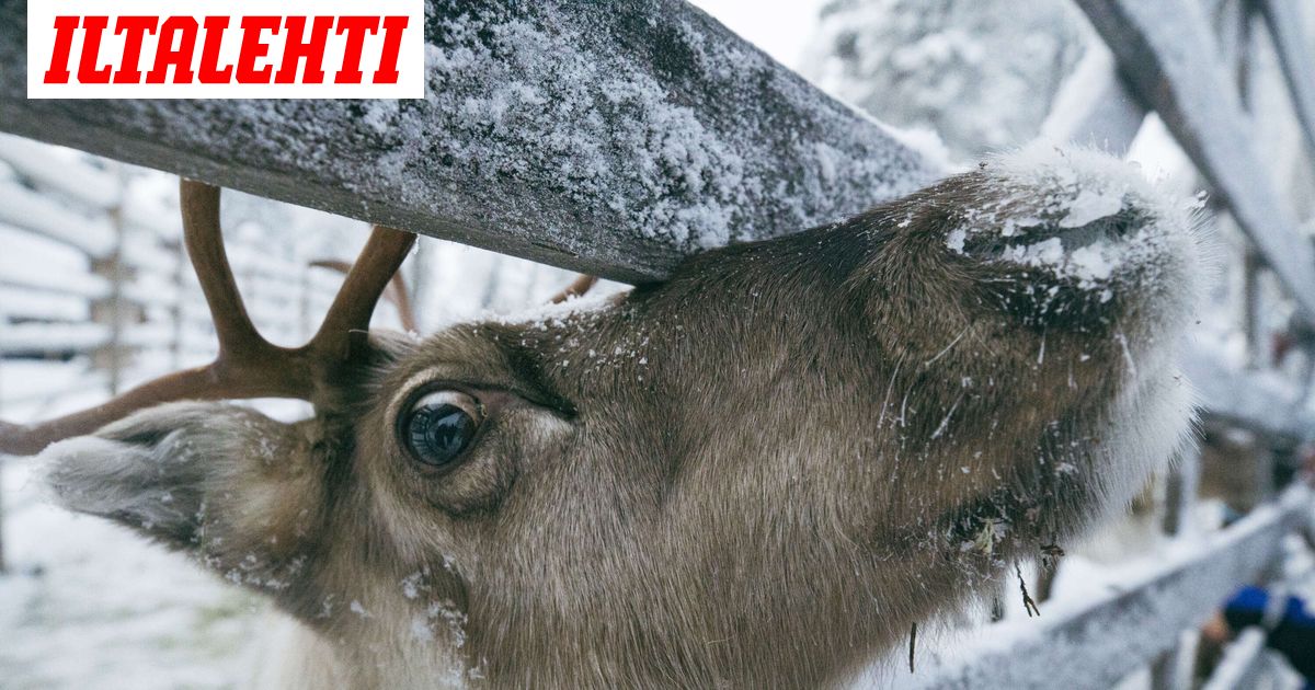 Ennennäkemätön tosi-tv tulee Suomeen joulukuuksi – Päätähdet yllättävät