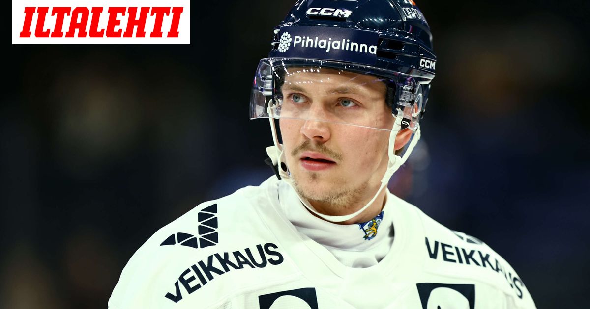 Leijonista tuttu pakki vaihtaa seuraa – Teki jättisopimuksen
