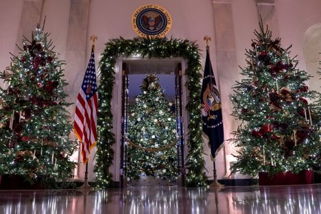 Eteissali on täynnä joulukuusia.