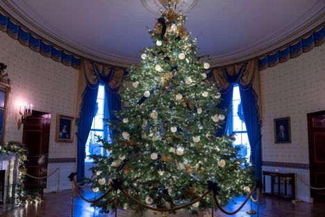 Sinisen huoneen joulukuusella on korkeutta ja leveyttä.