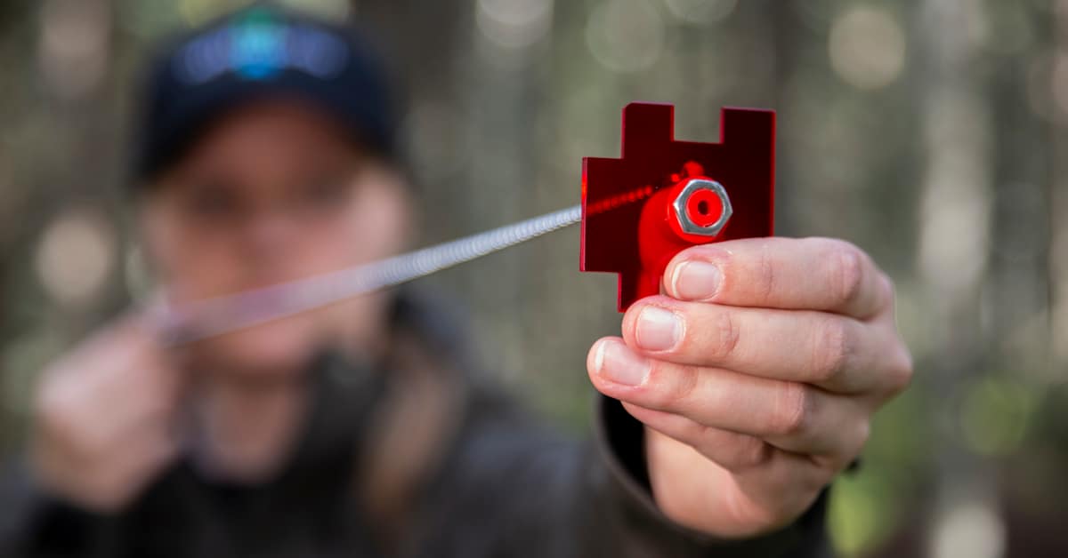 Metsähallitus hakee kesä­harjoittelijoita Kainuuseen ja Pohjois-Pohjanmaalle | Kainuu