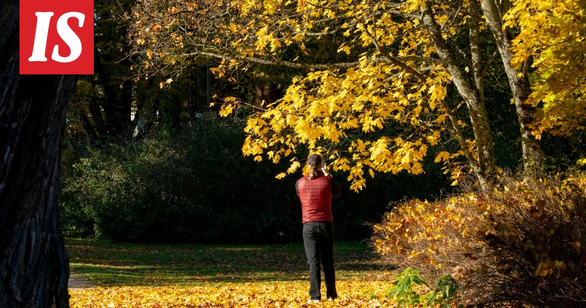 Syksy oli poikkeuksellisen lämmin - Ilta-Sanomat