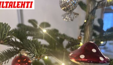 Artolla on ollut sama joulukuusi vuosia, eikä se ole muovia