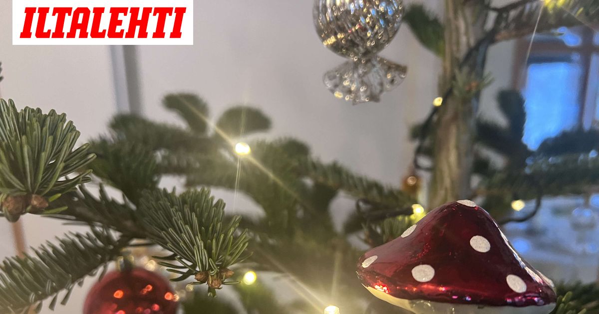 Artolla on ollut sama joulukuusi vuosia, eikä se ole muovia