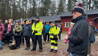Joensuun hakkuuaikeet Lykynlammella tyrmättiin lausunnoissa – poikkeuksellinen vastustus venyttää päätökset ensi vuoteen | Pohjois-Karjala
