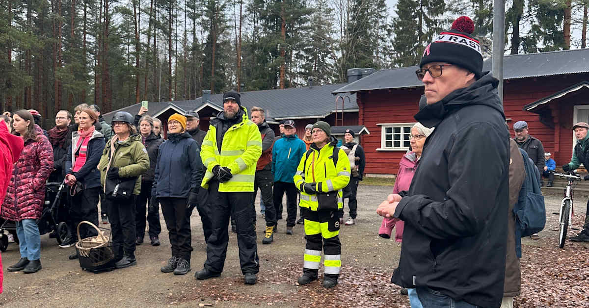 Joensuun hakkuuaikeet Lykynlammella tyrmättiin lausunnoissa – poikkeuksellinen vastustus venyttää päätökset ensi vuoteen | Pohjois-Karjala