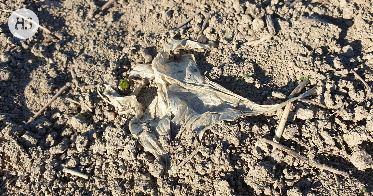 Mikromuoveja on merten lisäksi pelloilla ja maaperässä ja sitä kautta muovi vaikuttaa ruokakasveihin, tuotantoeläimiin ja ihmiseen