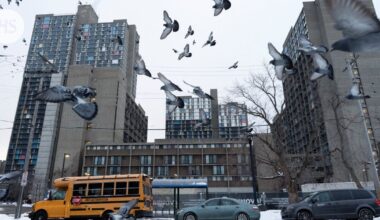 Trumpin hallinto jatkaa maahanmuuton rajoittamista sotilaiden ampumisen jälkimainingeissa