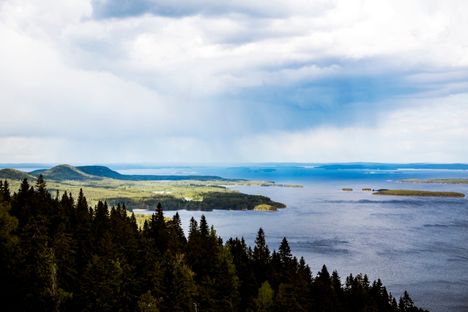 Maailmantähti on kehunut Kolia vuolaasti.