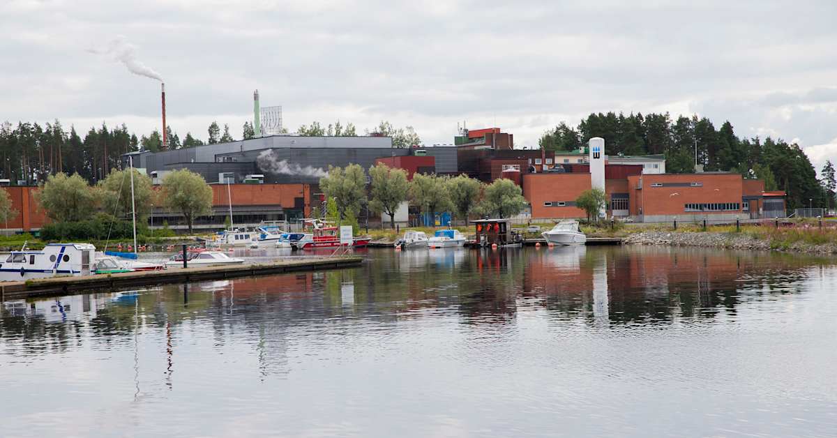 Olvi ostaa pohjoismaisen juomien maahantuontiin ja jakeluun keskittyvän yritysryppään | Pohjois-Savo