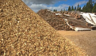 Puun poltto vastatuulessa – korvaaminen kuitenkin vaikeaa - Metsä