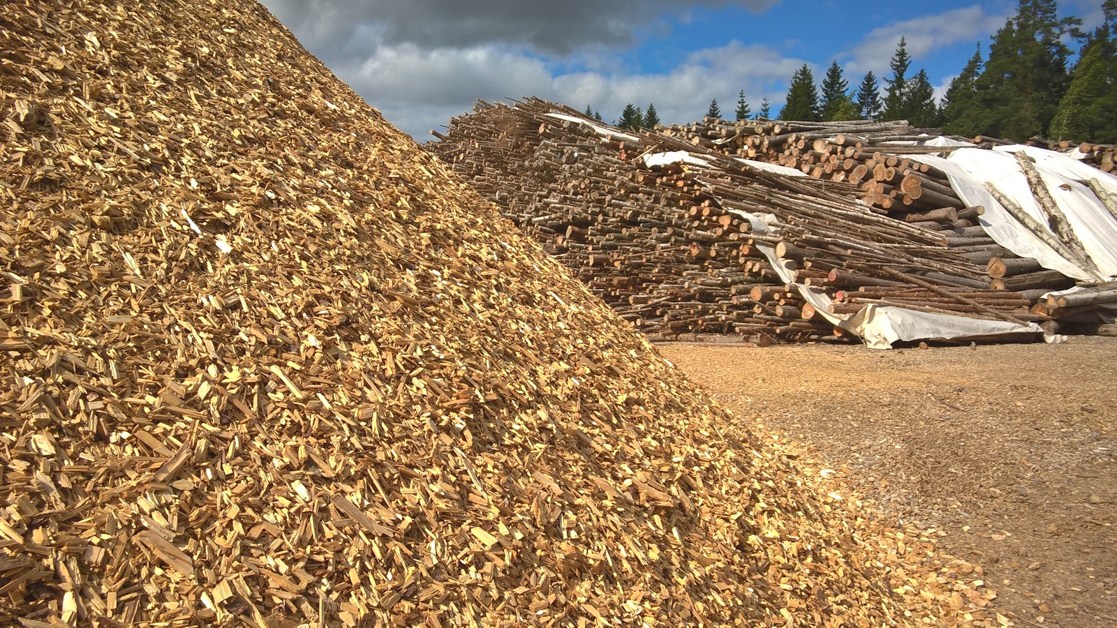Puun poltto vastatuulessa – korvaaminen kuitenkin vaikeaa - Metsä