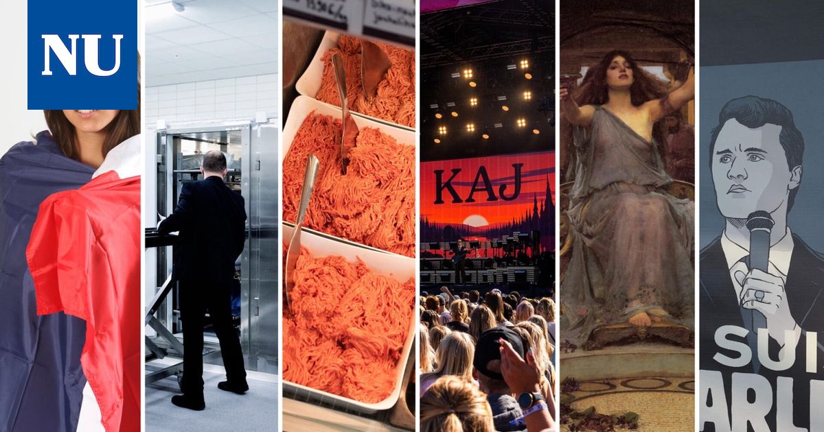 Näitä asioita suomalaiset ovat googlanneet vuonna 2025