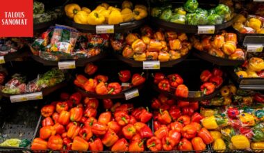 S-ryhmä: Hävikkikassit revitään nyt käsistä