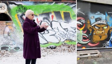 Grafumummo Eeva Ala-Vannesluoma kuvaa Helsingin katutaidetta