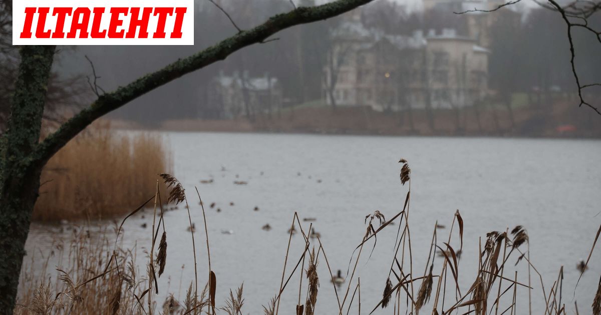 Uusi ennuste joulun säästä julki