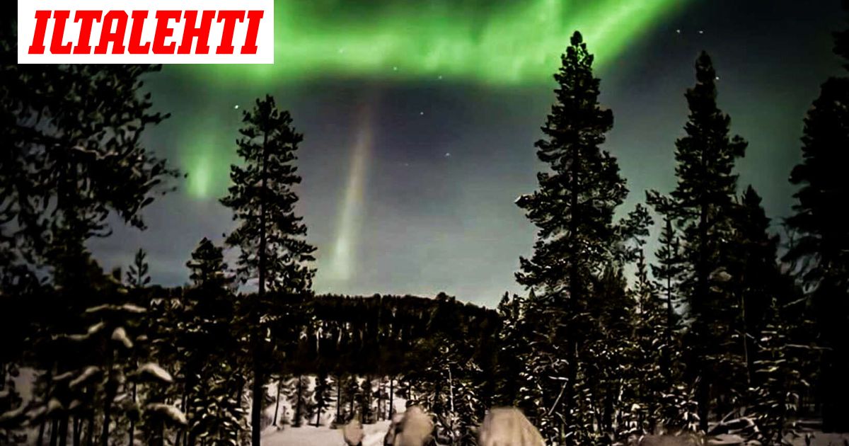 Saamelaisten oikeuksia laiminlyöty Nato- ja DCA-prosesseissa